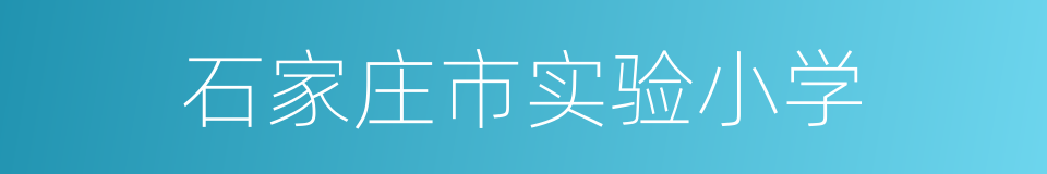 石家庄市实验小学的同义词