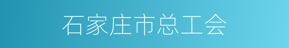 石家庄市总工会的同义词