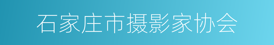 石家庄市摄影家协会的同义词