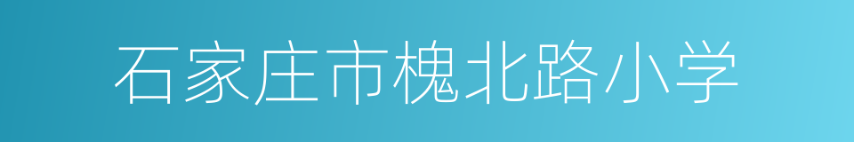 石家庄市槐北路小学的同义词