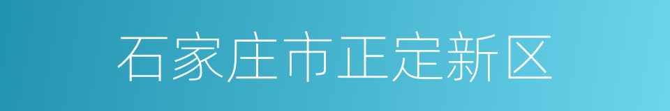 石家庄市正定新区的同义词