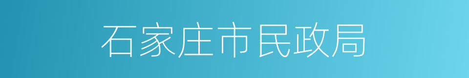 石家庄市民政局的同义词