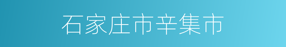 石家庄市辛集市的同义词