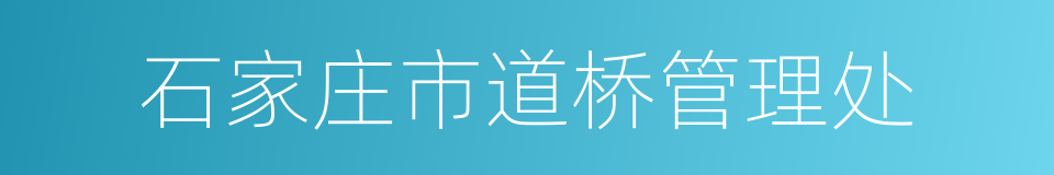 石家庄市道桥管理处的同义词