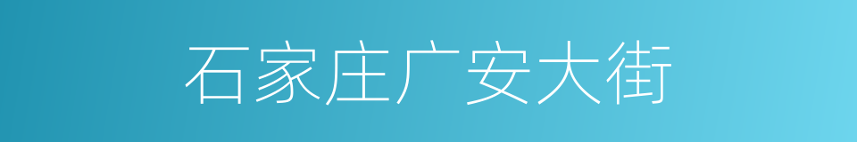 石家庄广安大街的同义词