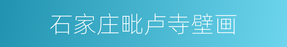 石家庄毗卢寺壁画的同义词
