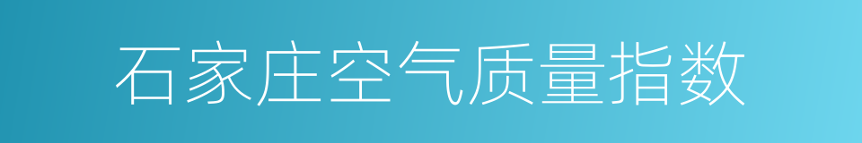 石家庄空气质量指数的同义词