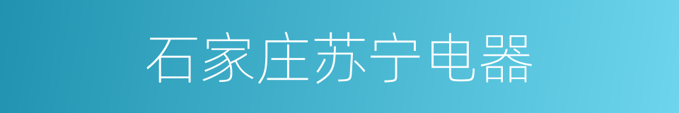 石家庄苏宁电器的同义词