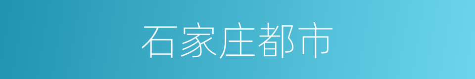 石家庄都市的同义词