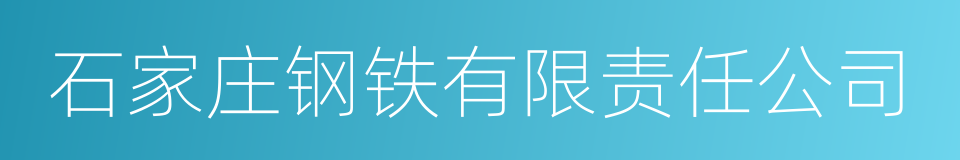 石家庄钢铁有限责任公司的同义词