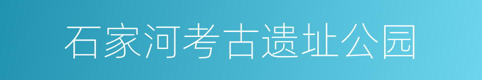 石家河考古遗址公园的同义词