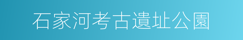 石家河考古遺址公園的同義詞