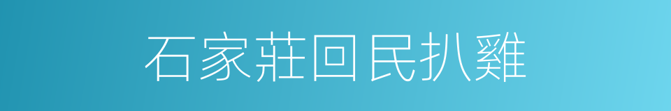 石家莊回民扒雞的同義詞