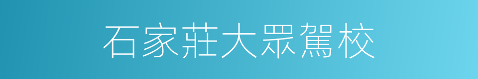 石家莊大眾駕校的同義詞