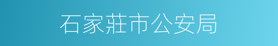 石家莊市公安局的同義詞