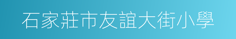 石家莊市友誼大街小學的同義詞