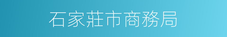 石家莊市商務局的同義詞