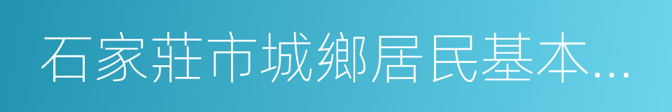 石家莊市城鄉居民基本醫療保險實施辦法的同義詞