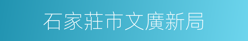 石家莊市文廣新局的同義詞