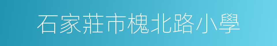 石家莊市槐北路小學的同義詞