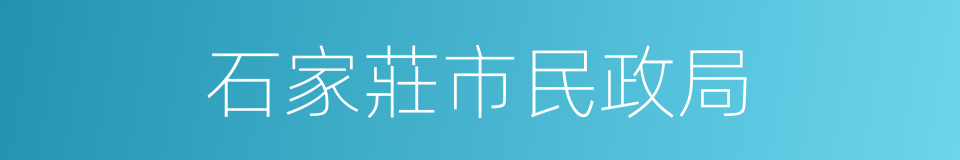 石家莊市民政局的同義詞