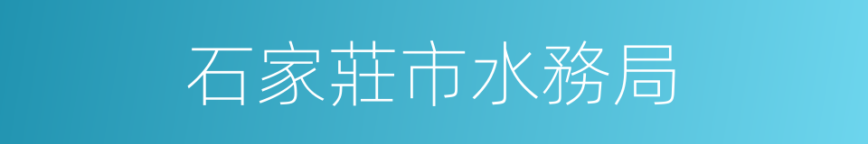 石家莊市水務局的同義詞