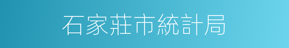 石家莊市統計局的同義詞