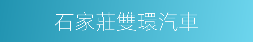 石家莊雙環汽車的同義詞