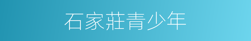 石家莊青少年的同義詞