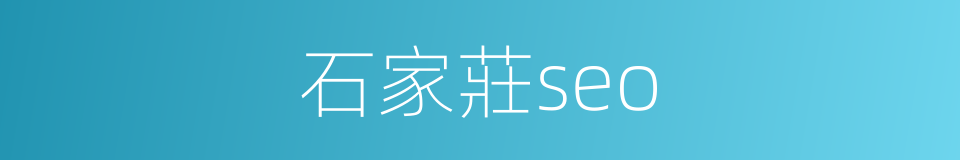 石家莊seo的同義詞