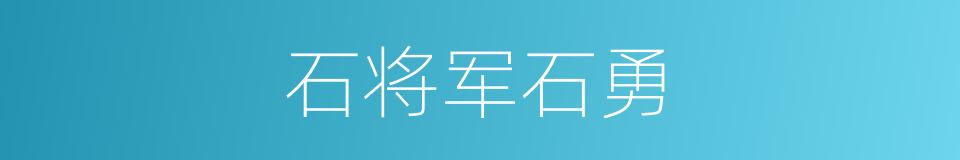 石将军石勇的同义词