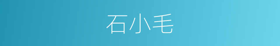石小毛的同义词