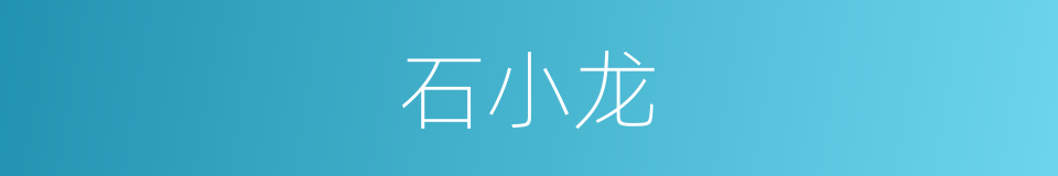 石小龙的同义词