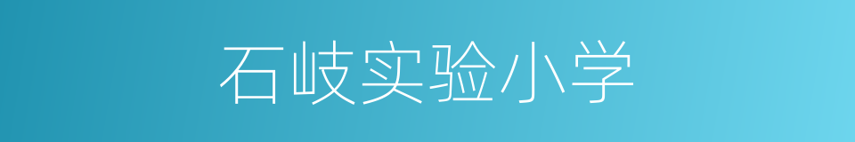 石岐实验小学的同义词