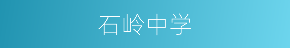 石岭中学的同义词