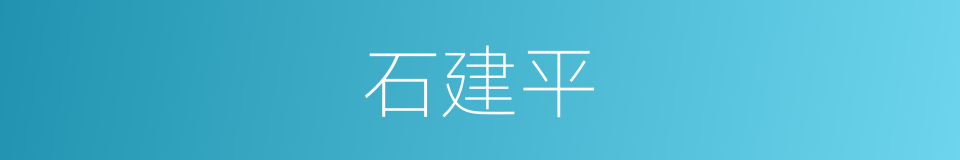 石建平的同义词