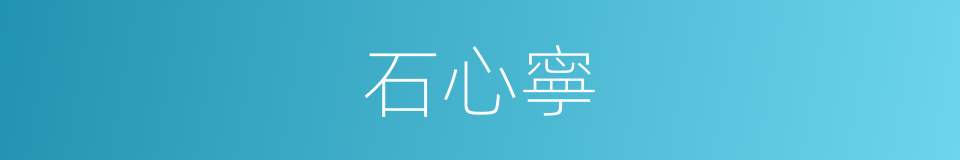 石心寧的同義詞