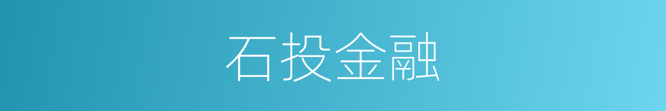 石投金融的同义词