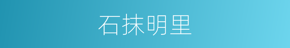 石抹明里的同义词