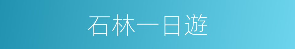 石林一日遊的同義詞