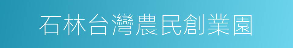 石林台灣農民創業園的同義詞