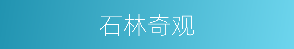 石林奇观的同义词