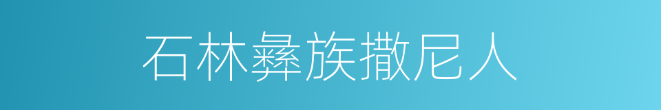 石林彝族撒尼人的同义词