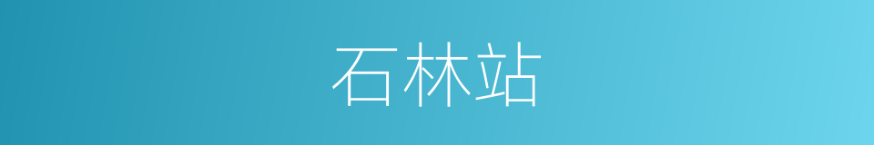 石林站的同义词