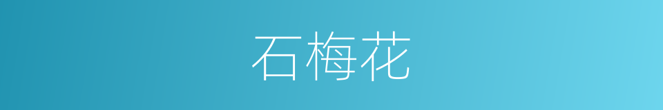 石梅花的同义词