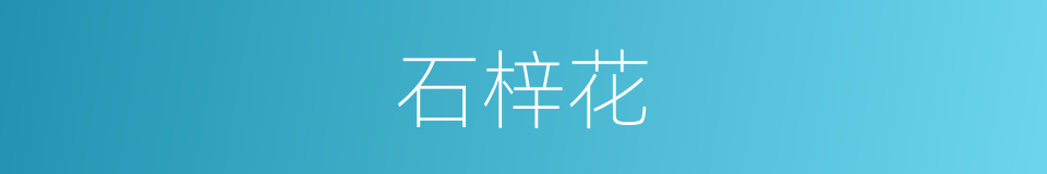 石梓花的同义词