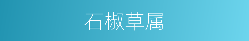 石椒草属的同义词