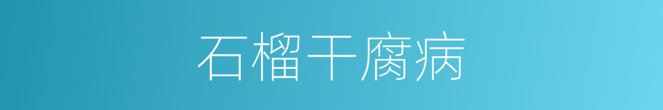 石榴干腐病的同义词