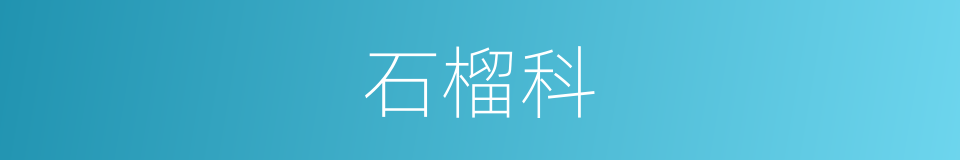 石榴科的同义词