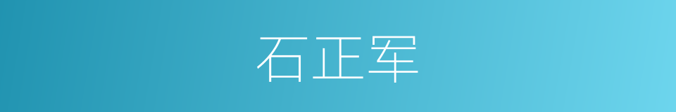 石正军的同义词